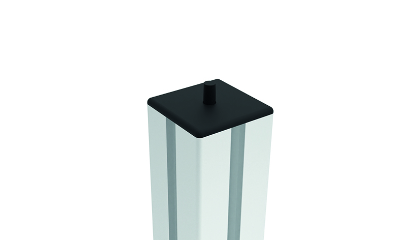 Cover Cap. with Locking Pin - immagine 3
