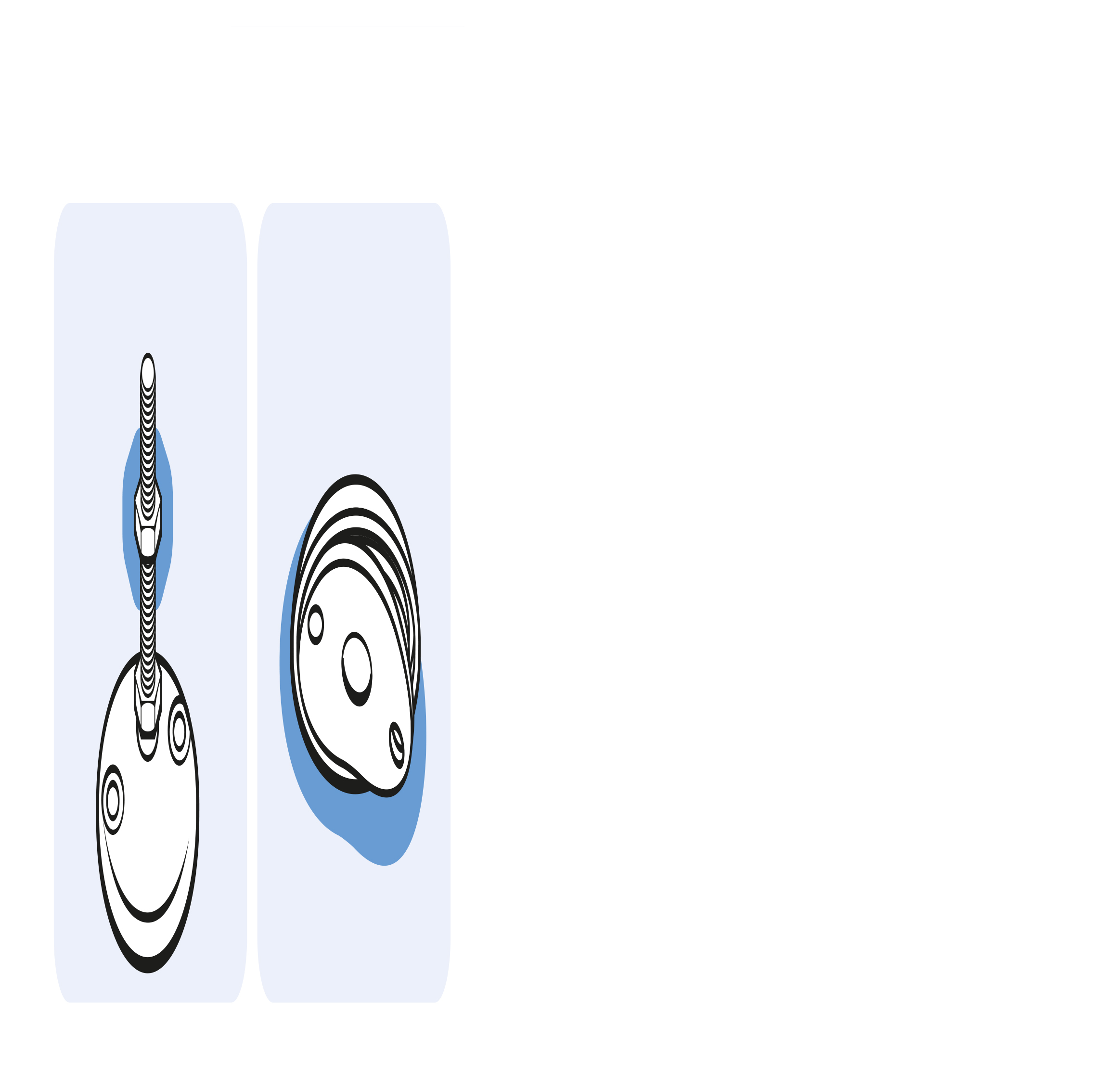 Pivot Foot. SS / SS - BDH - immagine 4